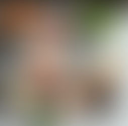 Melhores Alimentos para Secar Gordura: O Que Comer para Emagrecer com Mais Eficiência
