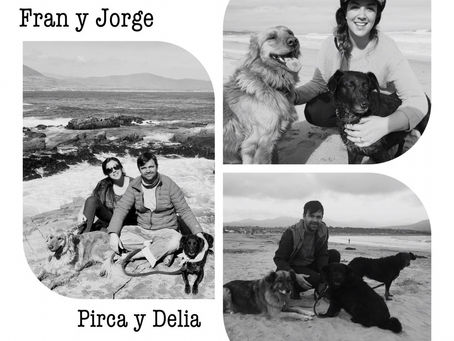 Historia de un Hogar Temporal: Fran y Jorge