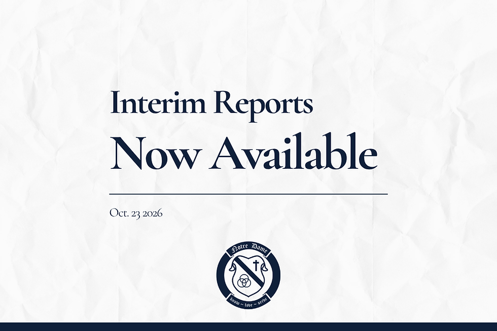 Interim Reports Are Now Available