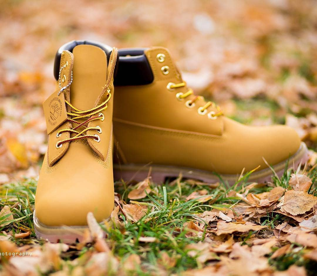 TIMBERLAND Коричневый