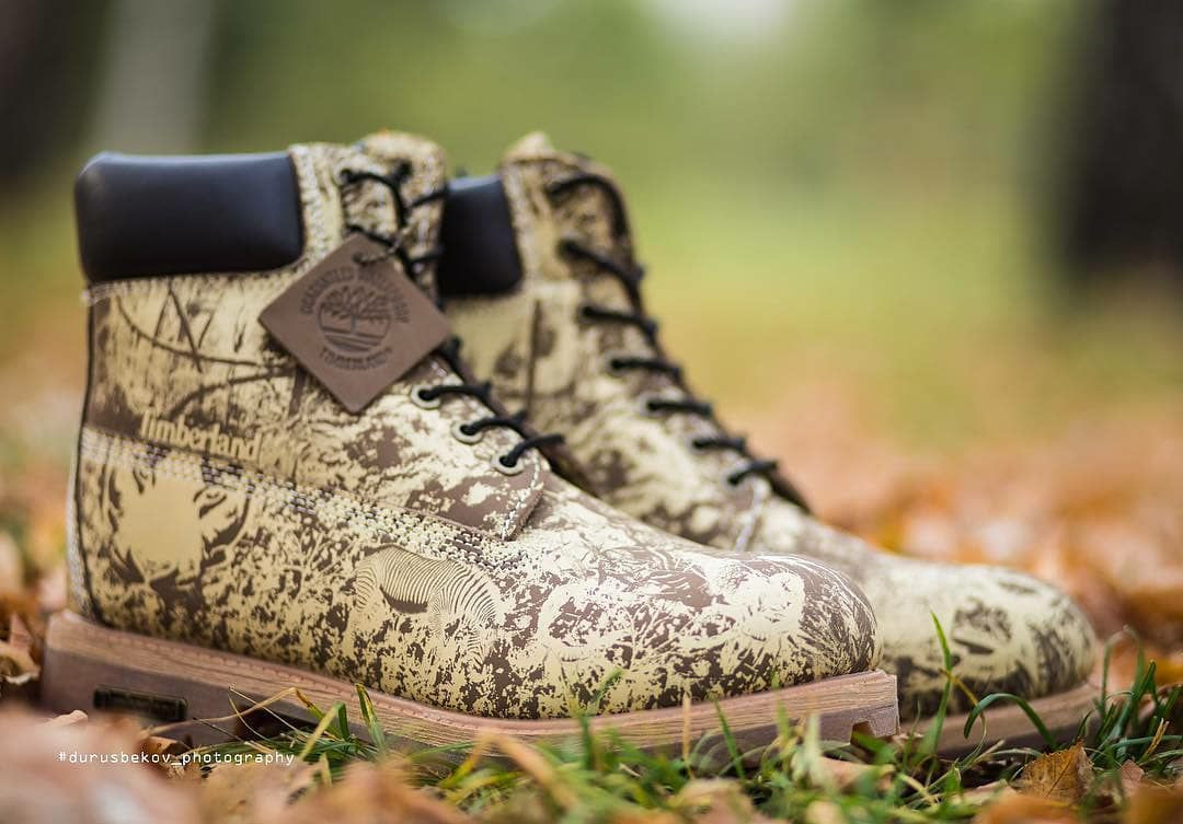 TIMBERLAND Forest