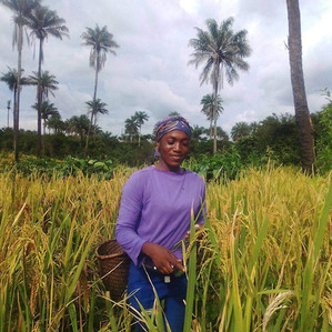 Underlining Causes and Strategies to Improve Agricultural Food Production in Liberia
