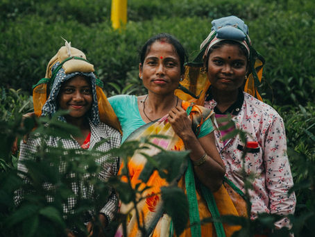 Project Shakti: Support rural women of India to obtain welfare schemes.