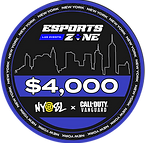 NY LAN LOGO.png