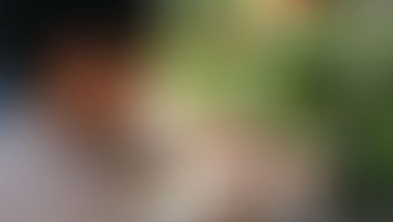 たまに帰る場所