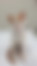 kedi sahiplendirme ilanları gösteren 5 numaralı fotoğraf sembolü