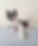 sahiplendirme için kedi ilanlari gösteren ikinci küçük fotoğraf