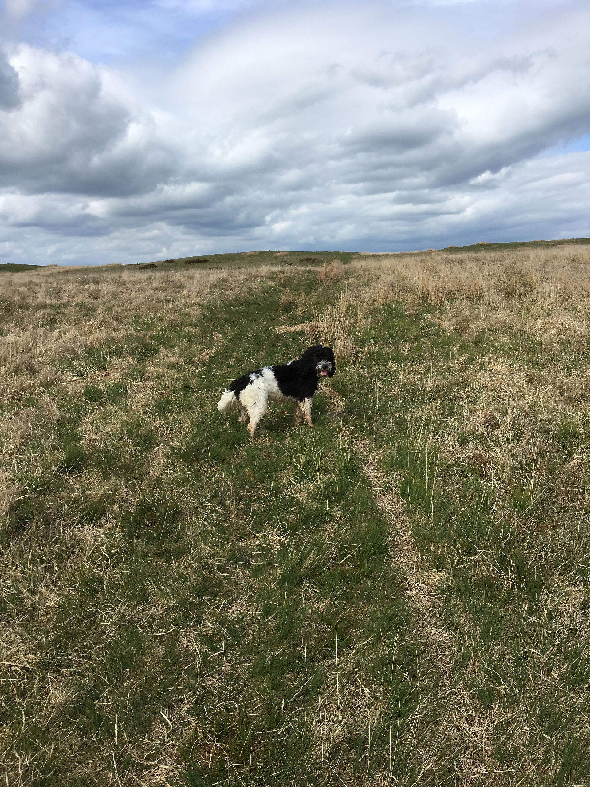 Cefn Coch to Nant Eira