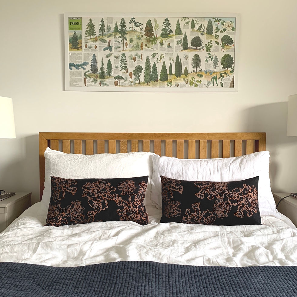 Thumbnail: Collector Edition - Lace Lichen Cushion (1/2)