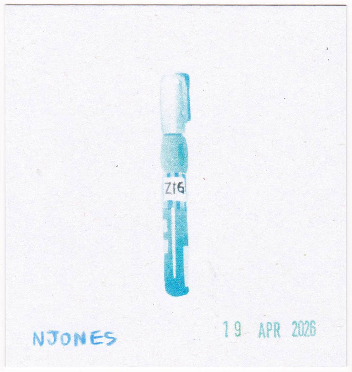 Zig Pen Print