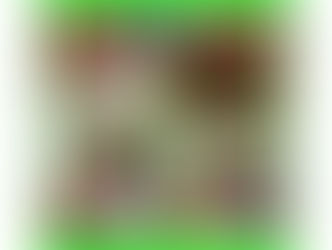 Großzügige REWE Kunden