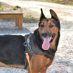 Lotti_IMG-20210417-WA0006_edited.jpg