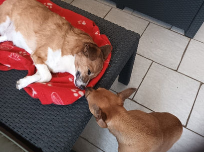 Auch Püppi ist gegangen