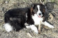 Erinnert ihr euch noch an Jazzy?