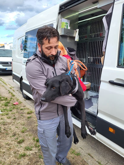 Fleur vom Opfer zum Retter