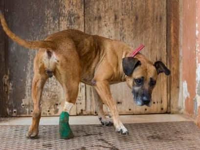 Ein ganz besonderer Tag für Clara