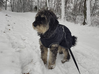 Zuzi wurde unser Glück