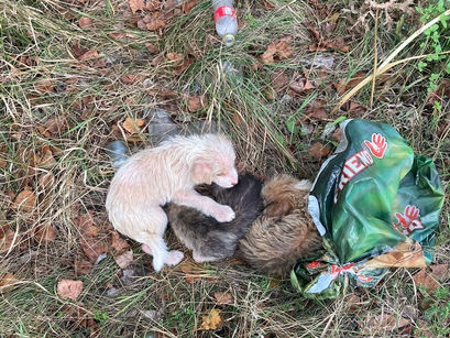 Wir sind fassungslos!!