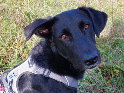 Fleurs Weg aus der Hölle ins Paradies