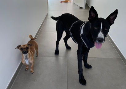 Jakob schickt winterliche Grüße