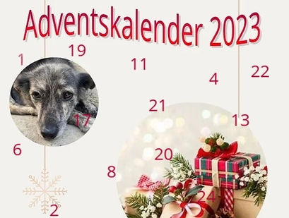 Adventskalender 2023