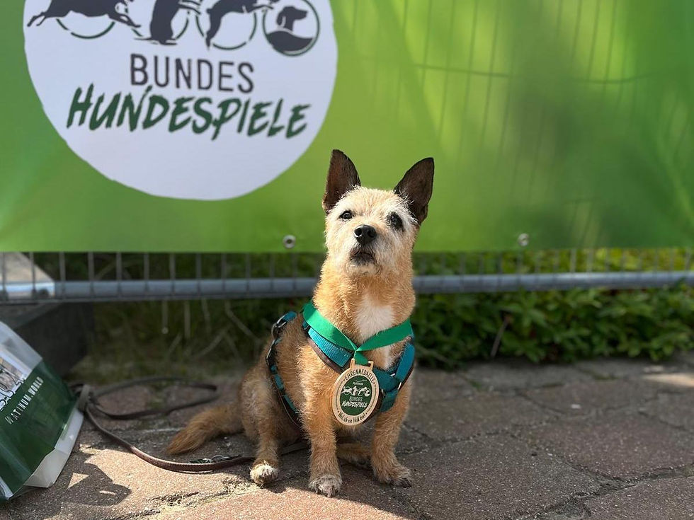 Viele Jahre Hundeglück - Milita sagt Danke