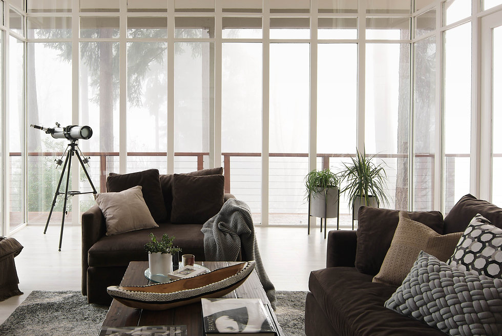 mdern living room inspiration