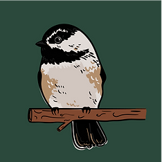 chickadee-wbackground.png