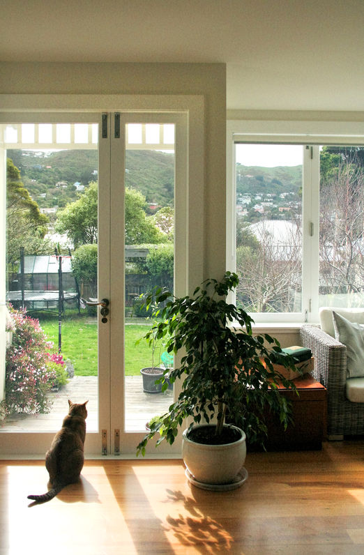alterations architecture new zealand sun room