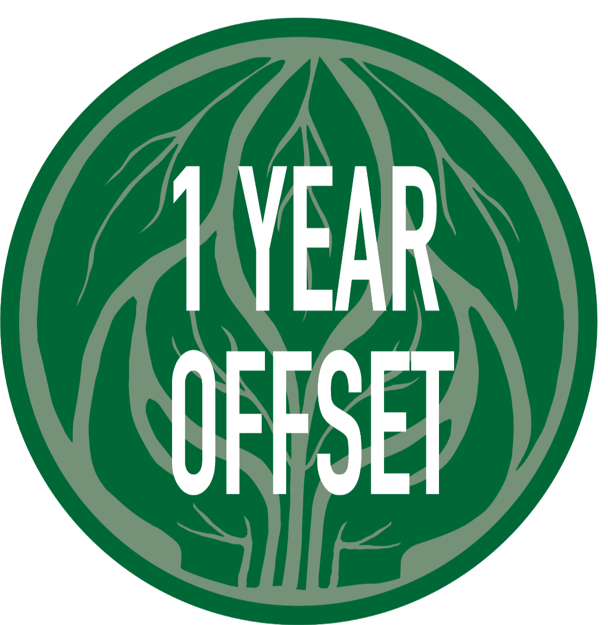 1 Year Carbon Offset
