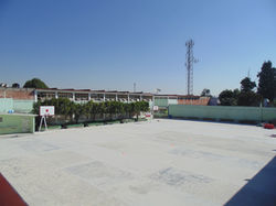 Patio Principal