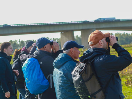 mensen die aan her vogels kijken zijn.