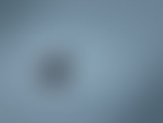 Wintervogelexcursie 07-12-2025: Geen winterse temperaturen, maar wel veel prachtige wintervogels!