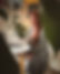 IMG_0044.jpeg