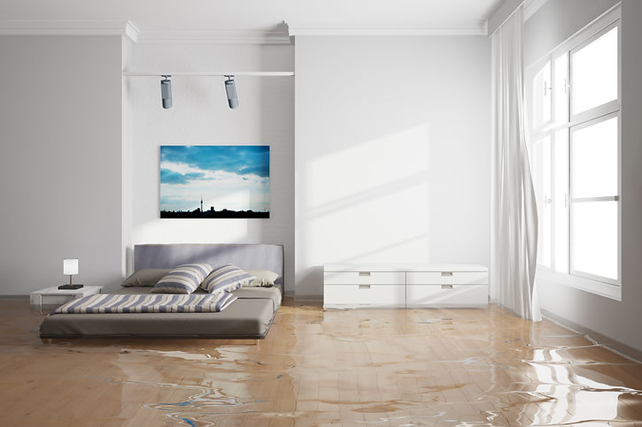 Water Damage Restoration