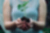 woman holding green leafed seedling_edited.jpg