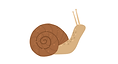 Copy of Growing Ethel's Garden 2024-2025 Website Ideas (1).png