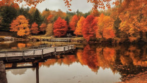 The Garden Gate - Fall 2024