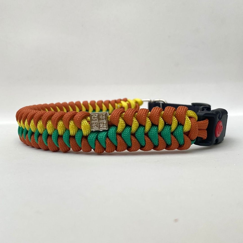 Miniatura: Coleira Marrom, Amarela e Verde Bandeira