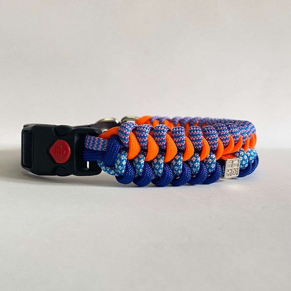 Miniatura: Coleira Lilás Wave, Laranja, Azul Diamante e Azul Bic