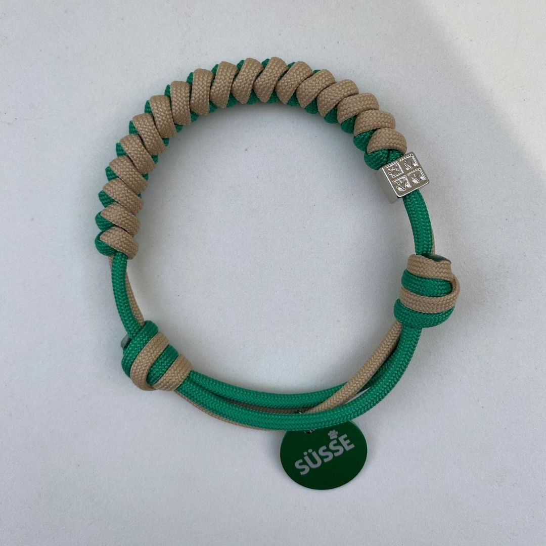 Colar de Identificação Pet - Natal Champagne Verde