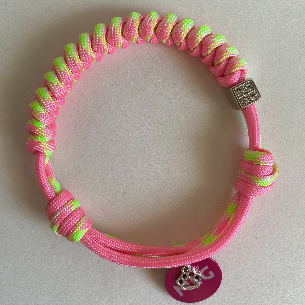 Colar de Identificação Pet - Rosa e Pink Limonade