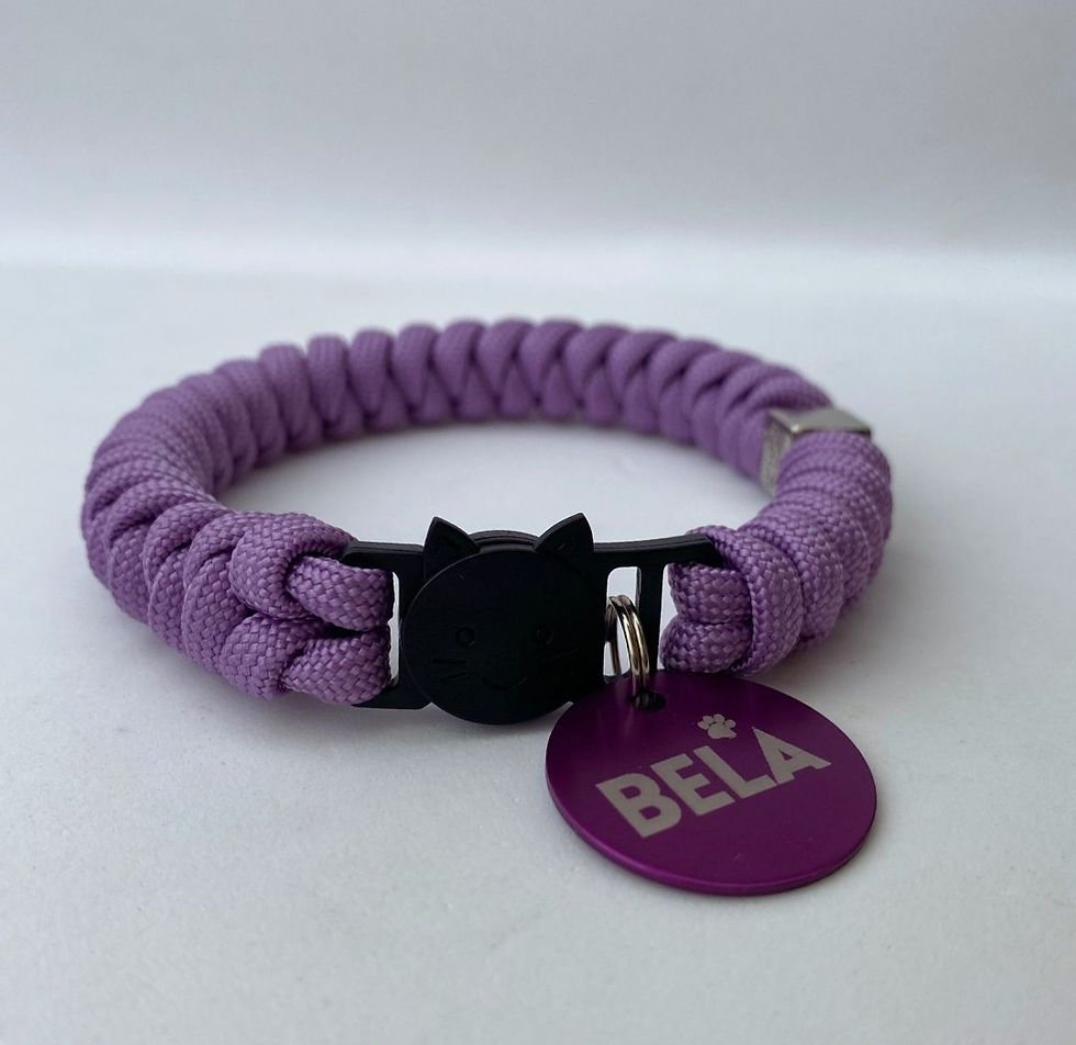 Coleira Gato - Lilás