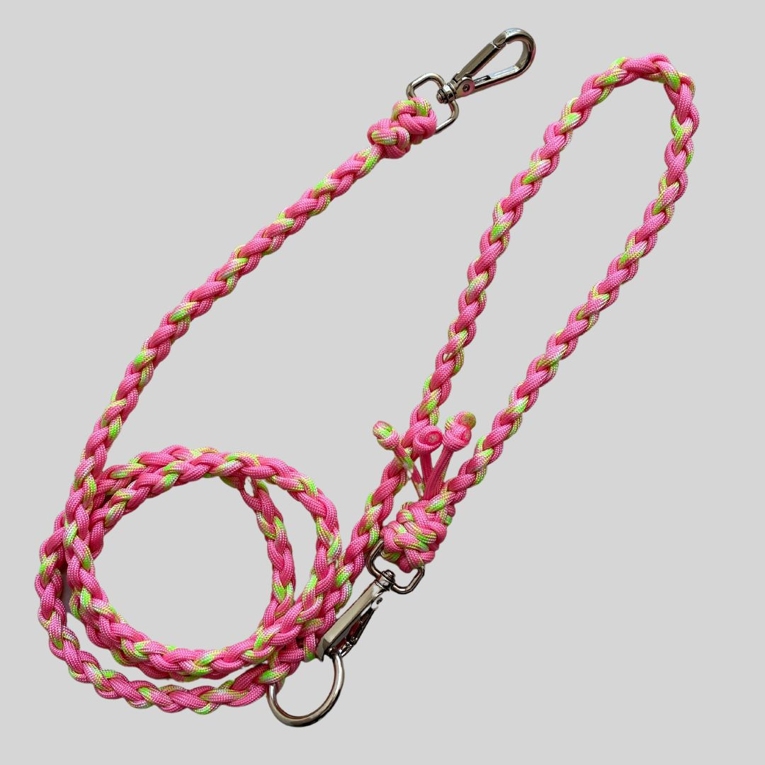 Guia Personalizada Cães Pequenos