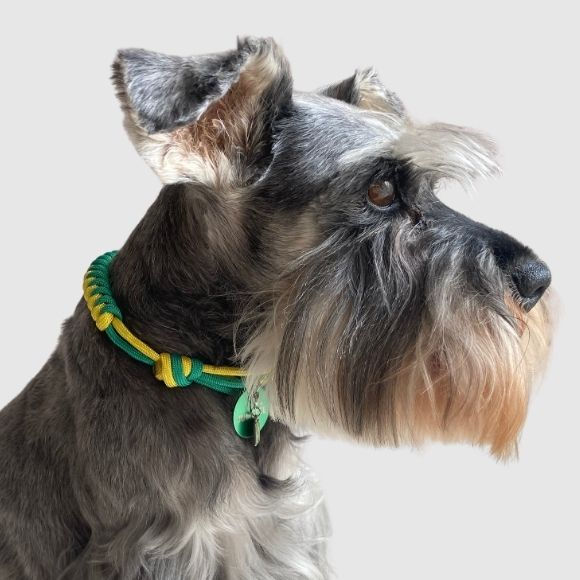 Colar Pet Artesanal com Identificação - Verde e Amarelo