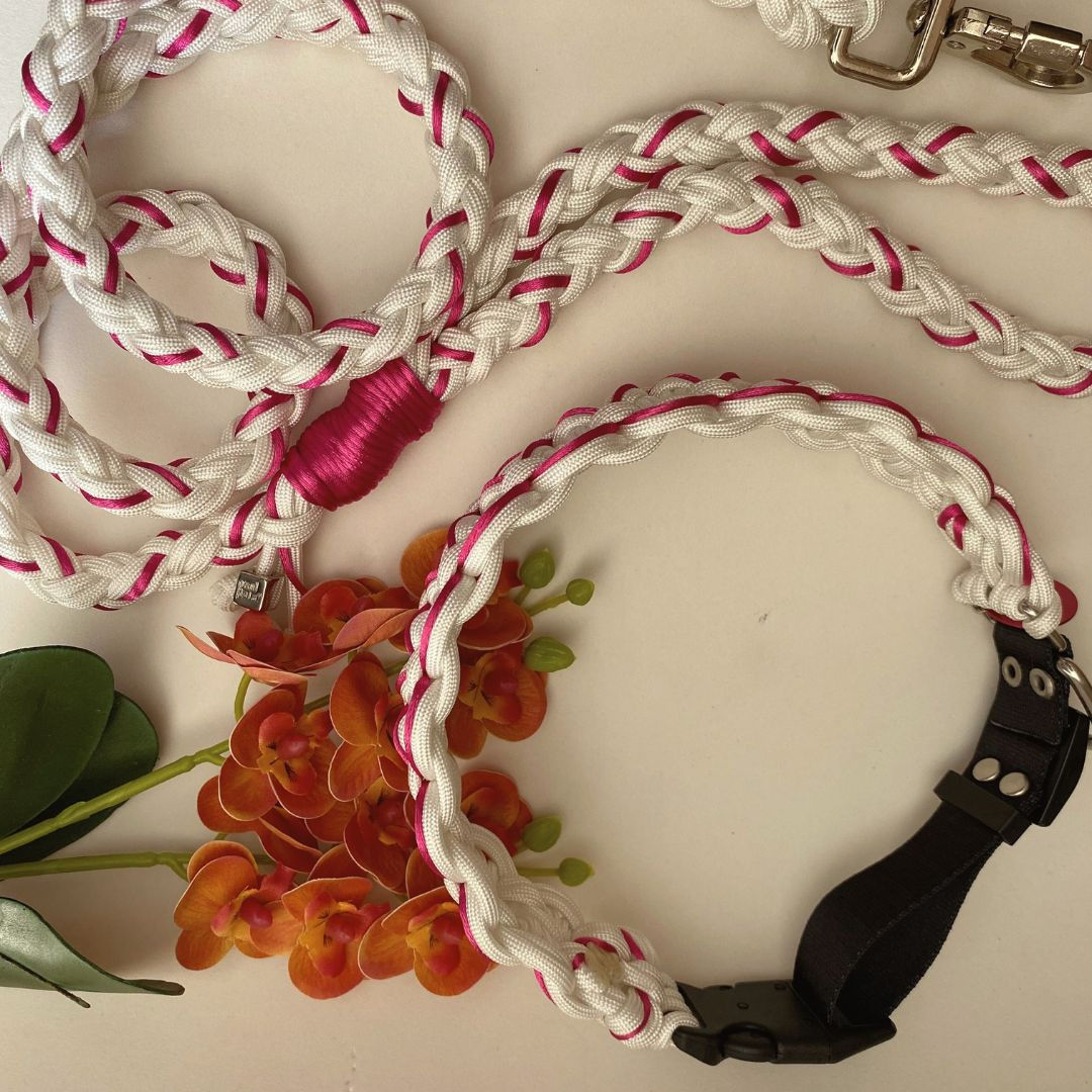 Conjunto Coleira e Guia para Casamento - Branco e Pink