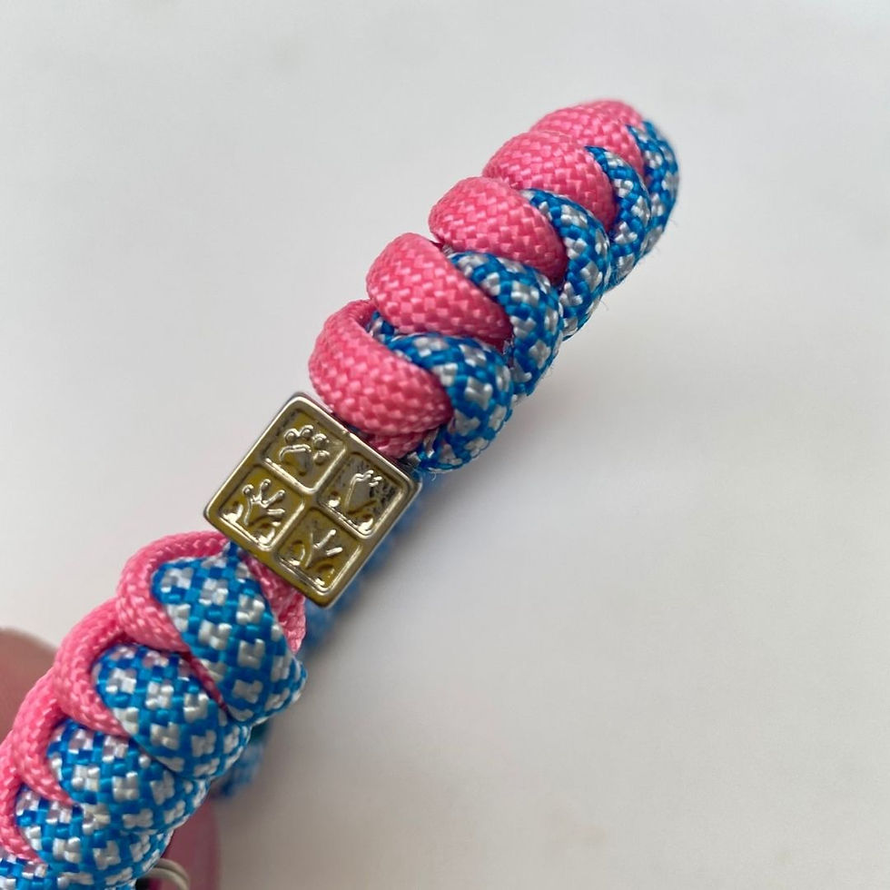 Miniatura: detalhe do trançado em paracord coleira para gato rosa azul diamante