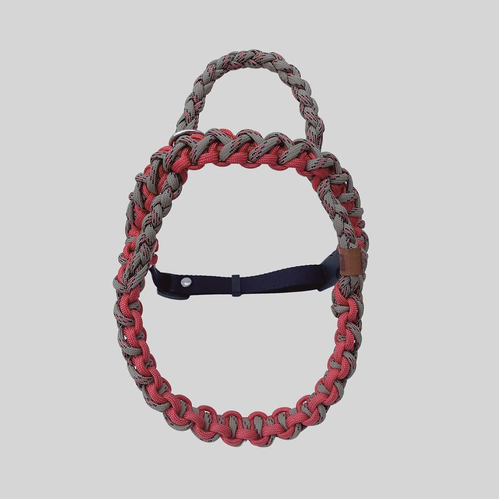 Miniatura: Conjunto Peitoral + Guia Qual Pata