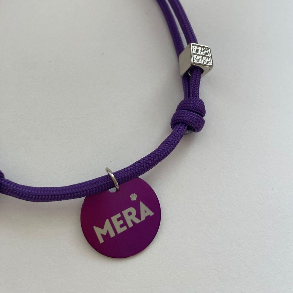 Miniatura: Colar de Identificação Pet Roxo