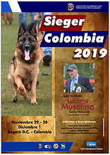 Pastor Aleman sieger 2019.jpg